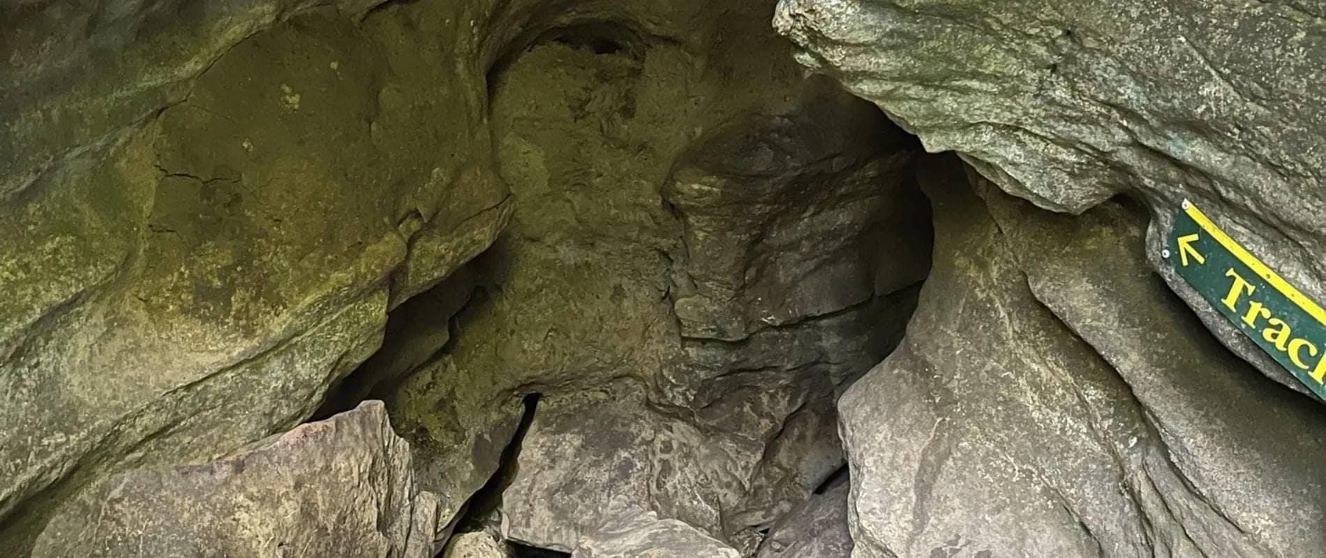 Kaniwhaniwha Caves Walk Hamilton