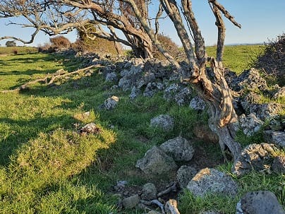 The Historic Stone Wall