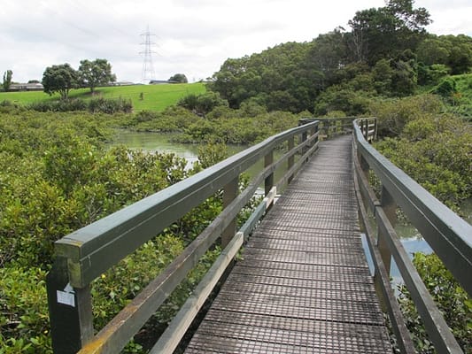 Avondale Whau River Path Walk