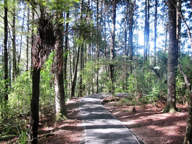 walk path Botanic Gardens and Totara Park Loops