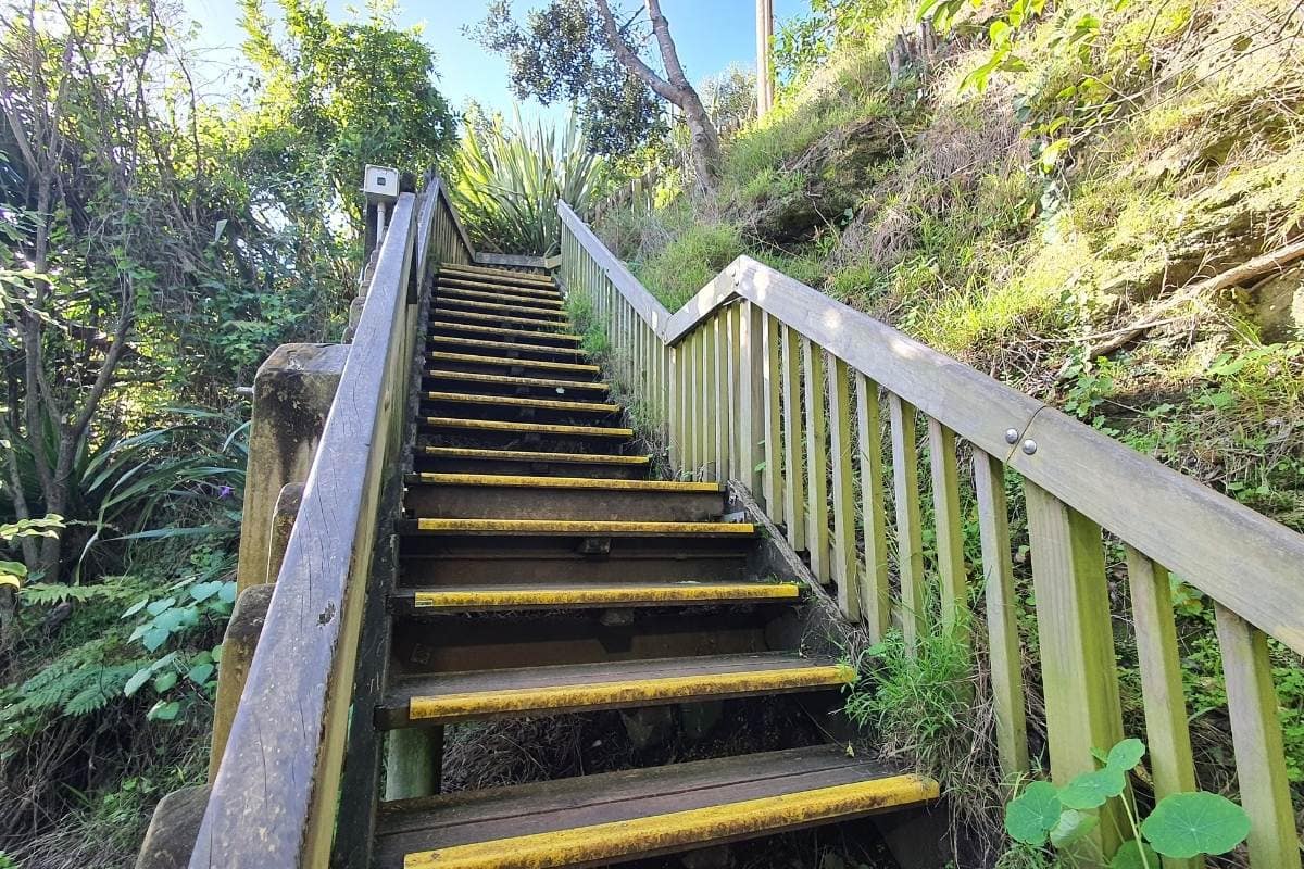 Steep steps up to the road on the Orakei Basin Loop Path in Auckland by Freewalks.nz