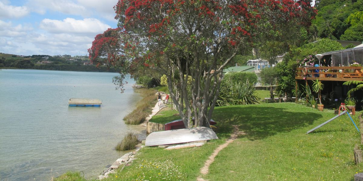 Mangemangeroa reserve walking along the coastal bush track