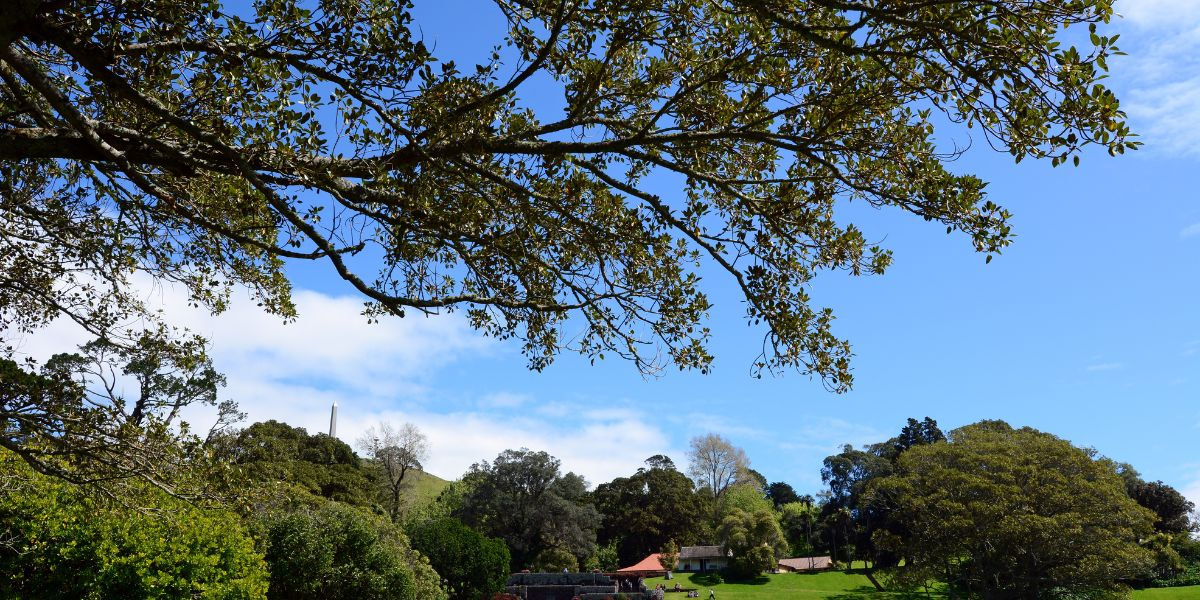 Volcanic Kohuora Park Walk in Auckland