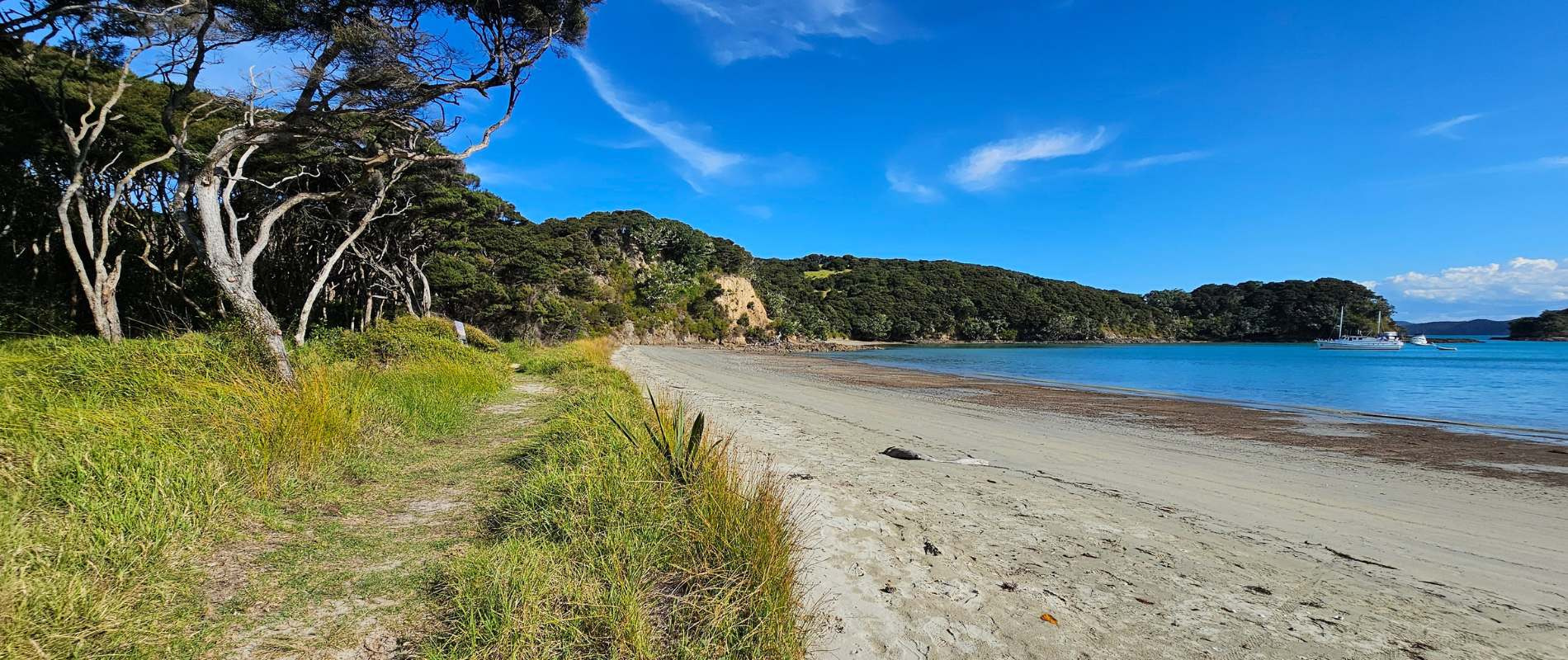 Viewing Hide - Urupukapuka Island
