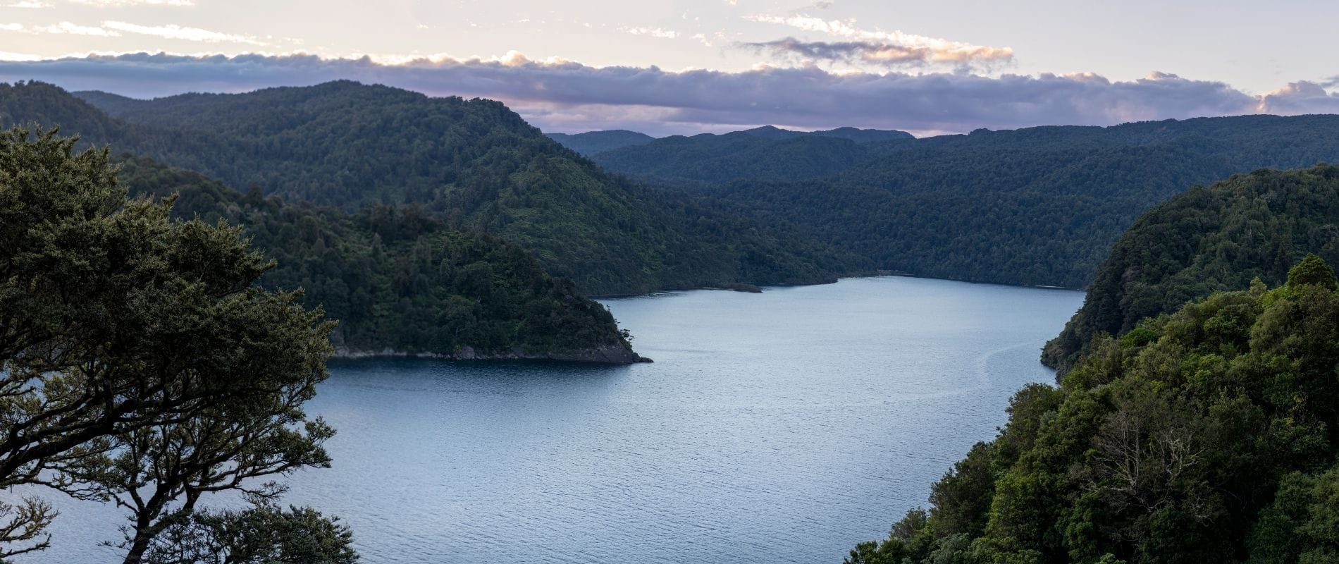 Lake Waikaremoana Track Your Ultimate Walking Adventure