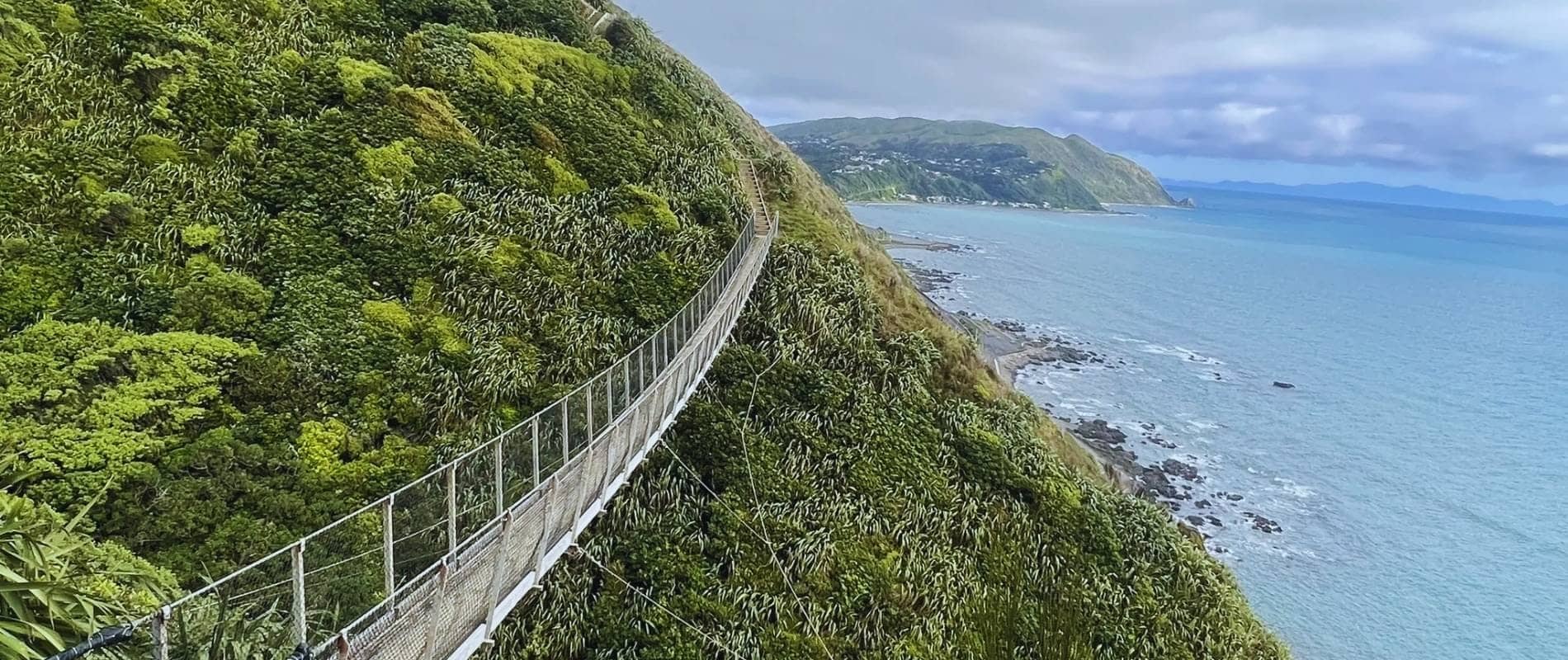 Why You Absolutely Have to Walk the Paekakariki Escarpment Track