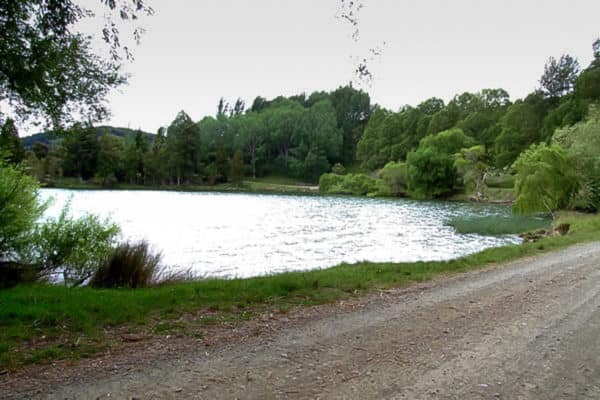 Lake Tutira