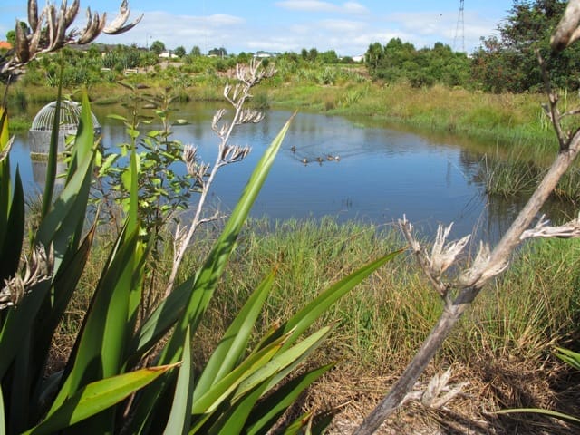 Westgate Loop Walk